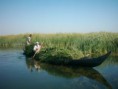 /album/fotogalerij/a42136-moerasarabieren-irak-jpg1/